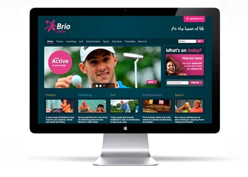 Brio _Website